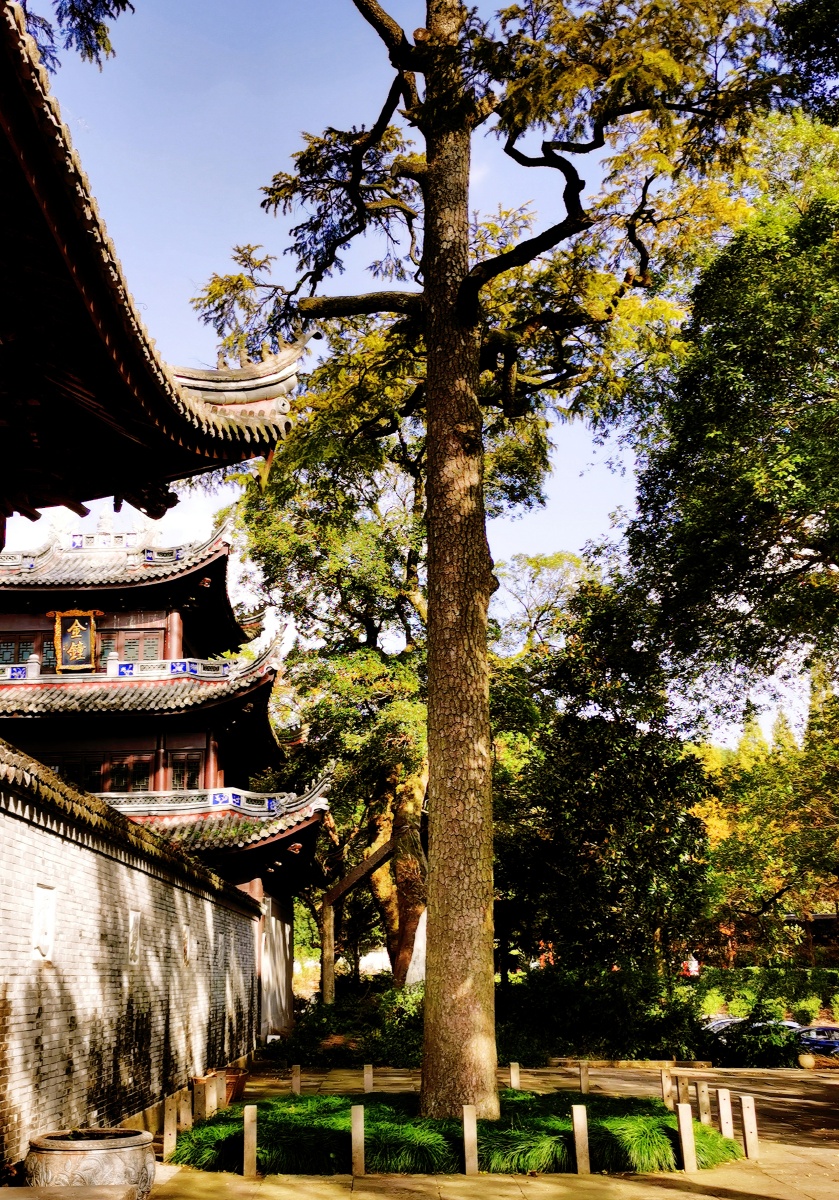 《禅景》浙江慈溪五磊山五磊寺外一景