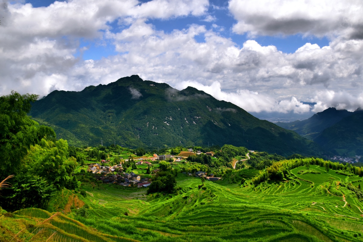 山田风光浙江丽水云和梯田