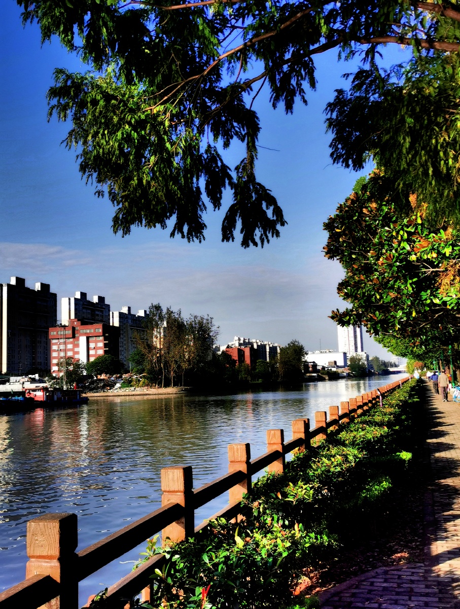 城市街区上海浦东新区川杨河南段