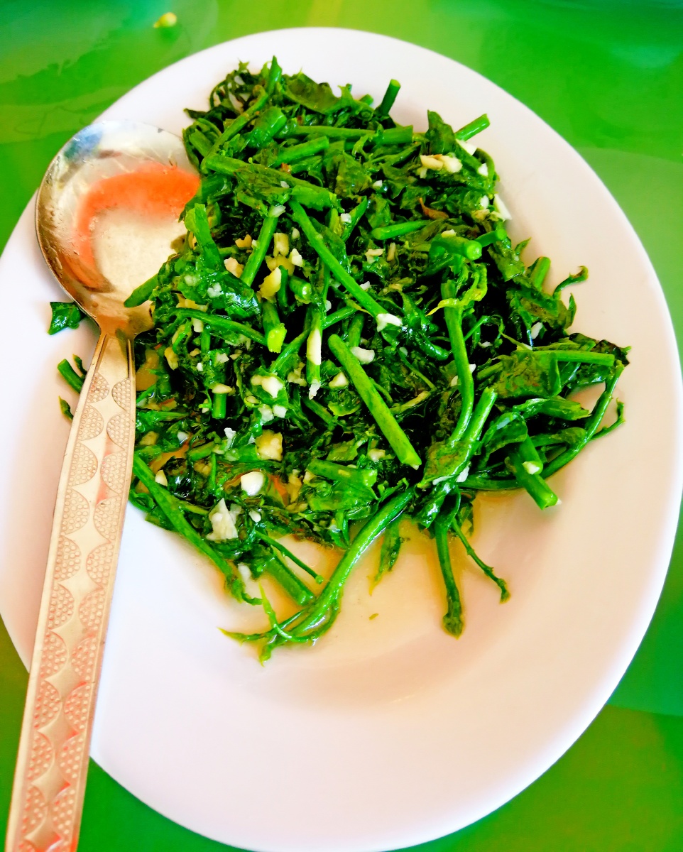 《叁岜树仔菜》马来西亚素菜 - xwm715 - 图虫