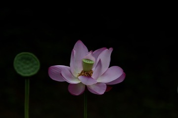 7BD87B15-47D8-4308-9E63-9793425B21CC/L0/001