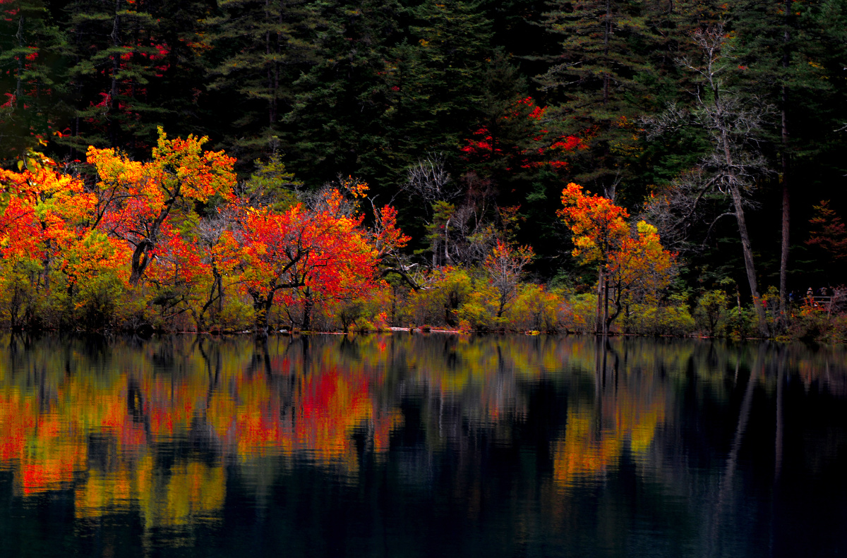 九寨沟秋色2016年10月拍摄于九寨沟风景区