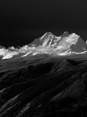 DSC_0733-1