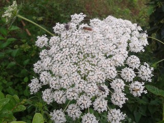 2013-06-07 15.40.53.jpg