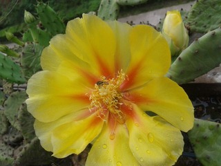 2013-05-30 08.22.57.jpg