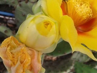 2013-05-30 08.23.57.jpg
