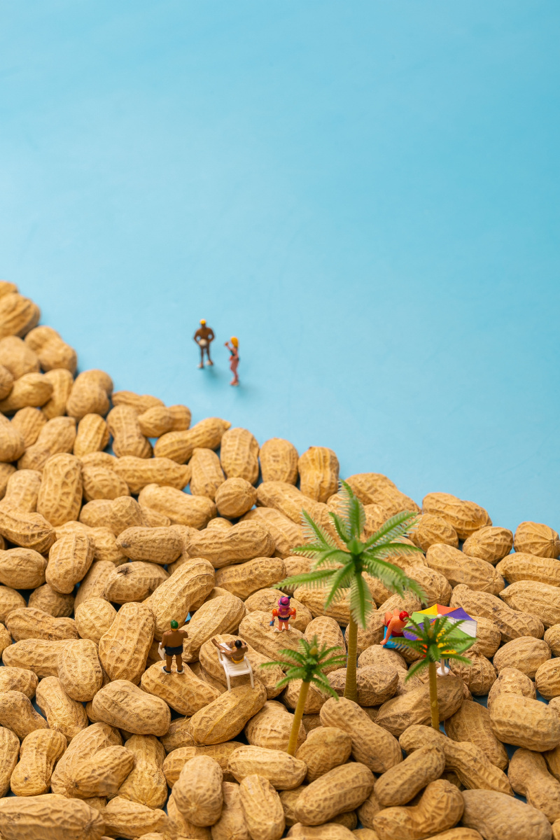 花生创意拍摄晋江衙口花生结合海边公路水煮日晒等特点