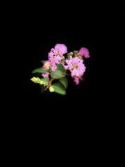 281DF775-0FD6-463D-A802-CCBAB833CDD2/L0/001