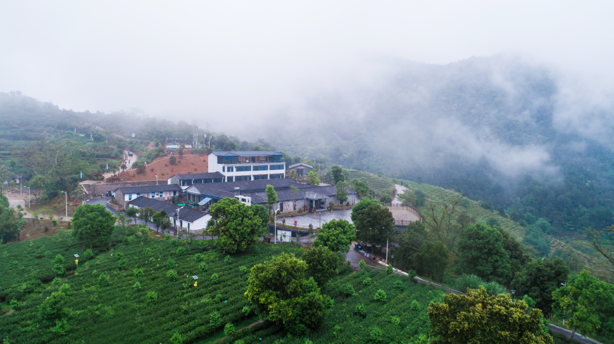 安溪县芦田镇云岭茶庄园