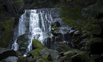 IMG_9778.jpg