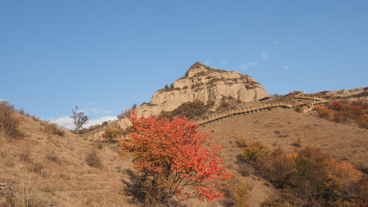 新疆伊犁州霍城县中华福寿山摄影铜川黄风升