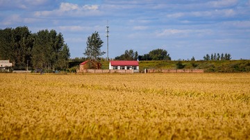 1494401