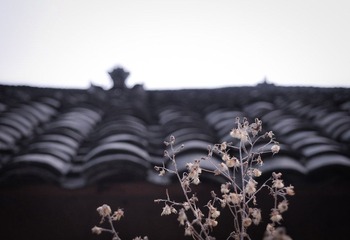 屋顶