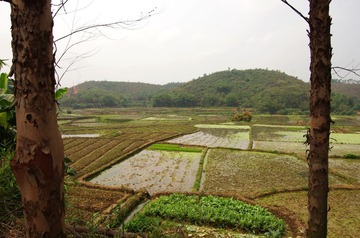 ccIMGP3031.jpg