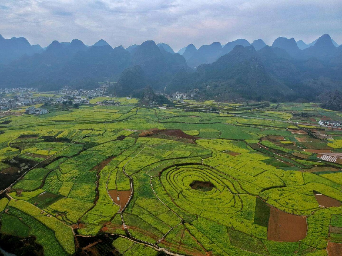 贵州万峰林 云南罗平油菜花田