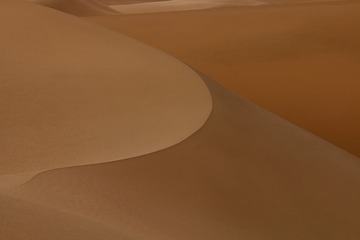 1892558