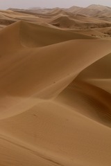 1892552