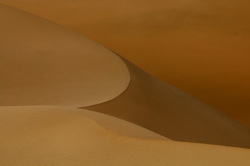 1892556