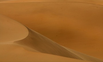 1892547