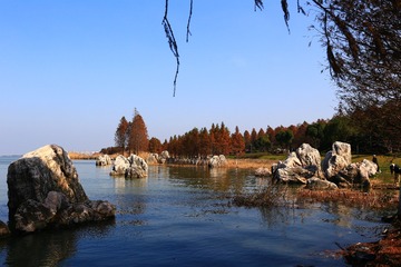 阳澄湖畔