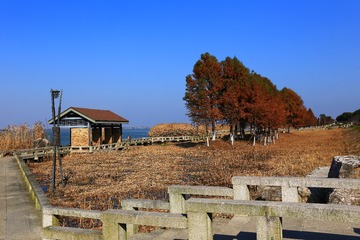 湖边小屋