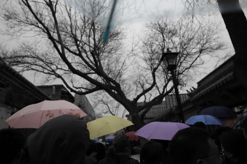 雨•彩<br />
清明•北京•南锣鼓巷•雨中