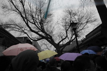 4J1A3250.jpg