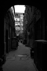 4J1A3870.jpg