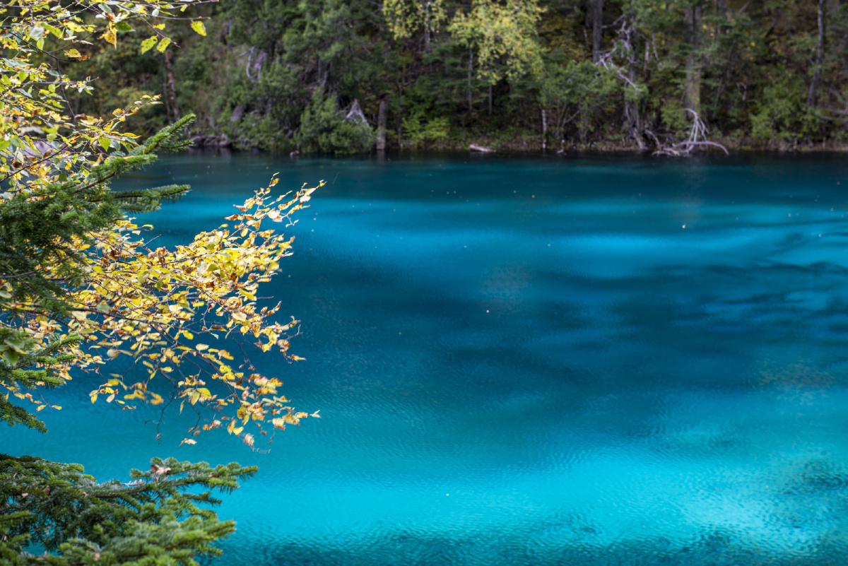 九寨沟风光秀美如画 - 张斌200 - 图虫