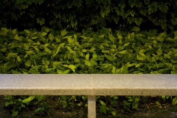 2013042942.JPG