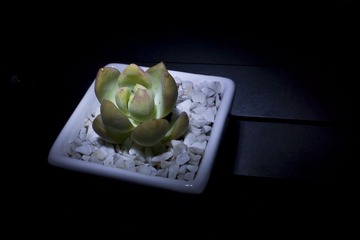 2013051743.JPG