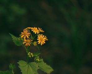 1660503
