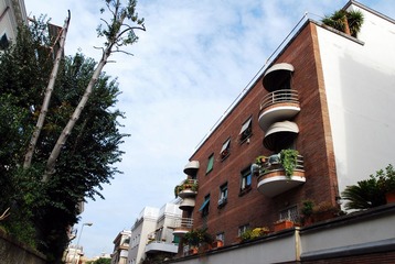 DSC_0193.JPG