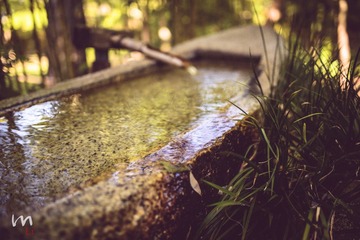 DSC_2816.jpg