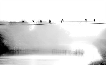 风景 (2)——简单的旋律.jpg