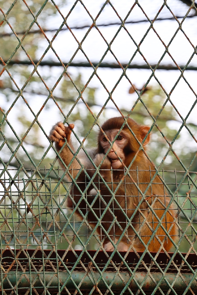 潍坊动物园拍摄于9月份