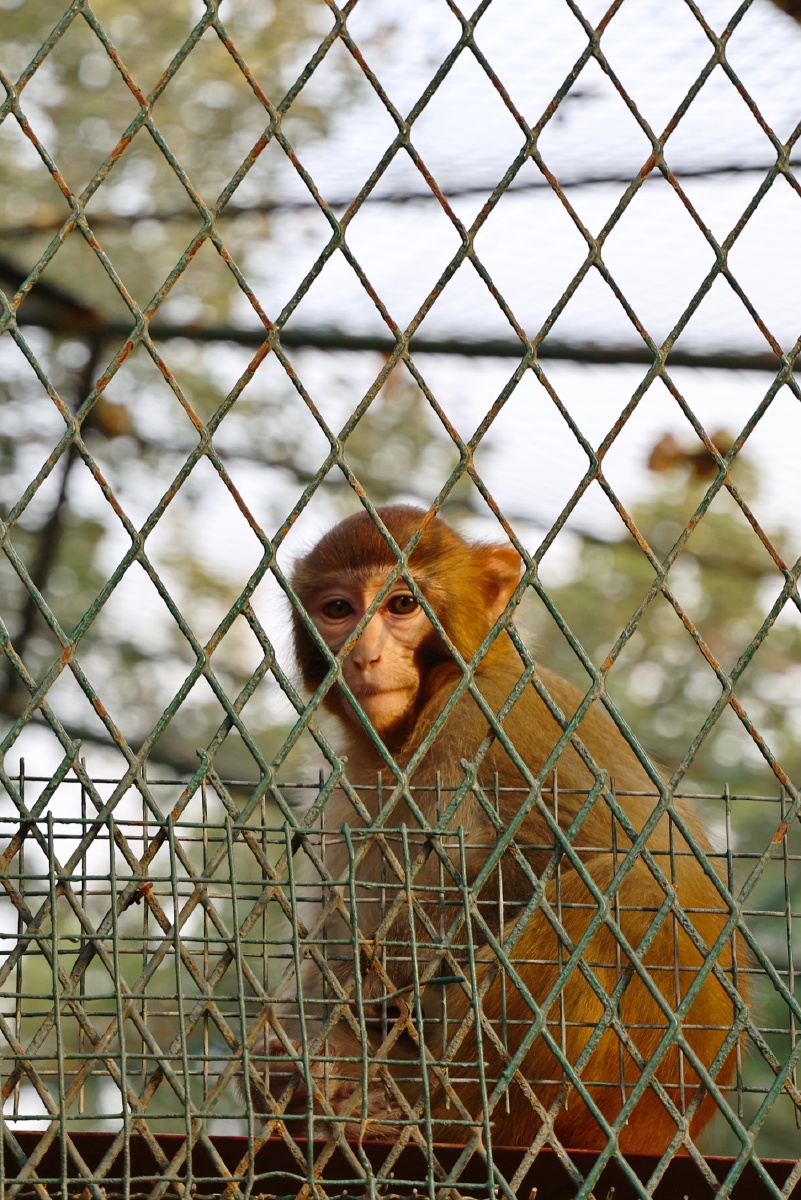 潍坊动物园拍摄于9月份