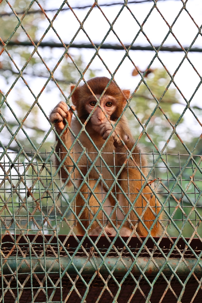 潍坊动物园拍摄于9月份