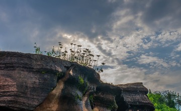 IMGP5853-4