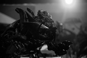 IMGP3332-2