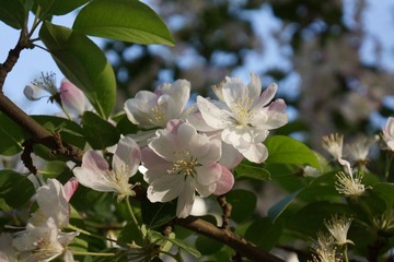 DSC03646.JPG