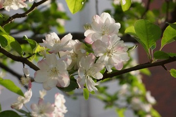 DSC03665.JPG