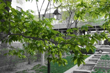 DSC03712.JPG
