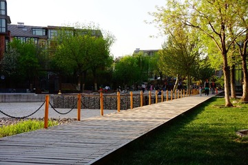 DSC03730.JPG