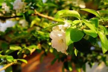 DSC03758.JPG