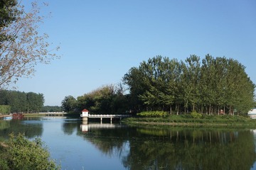 DSC04755.JPG