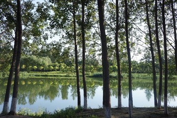DSC04705.JPG