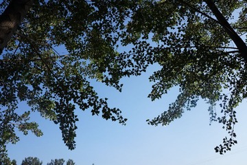 DSC04716.JPG