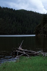 3C117A1B-7F90-4681-A214-E84FAA2F761B/L0/001