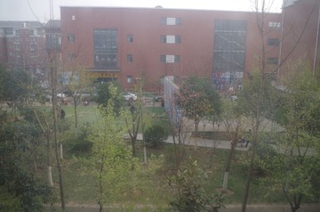 IMGP0001.JPG